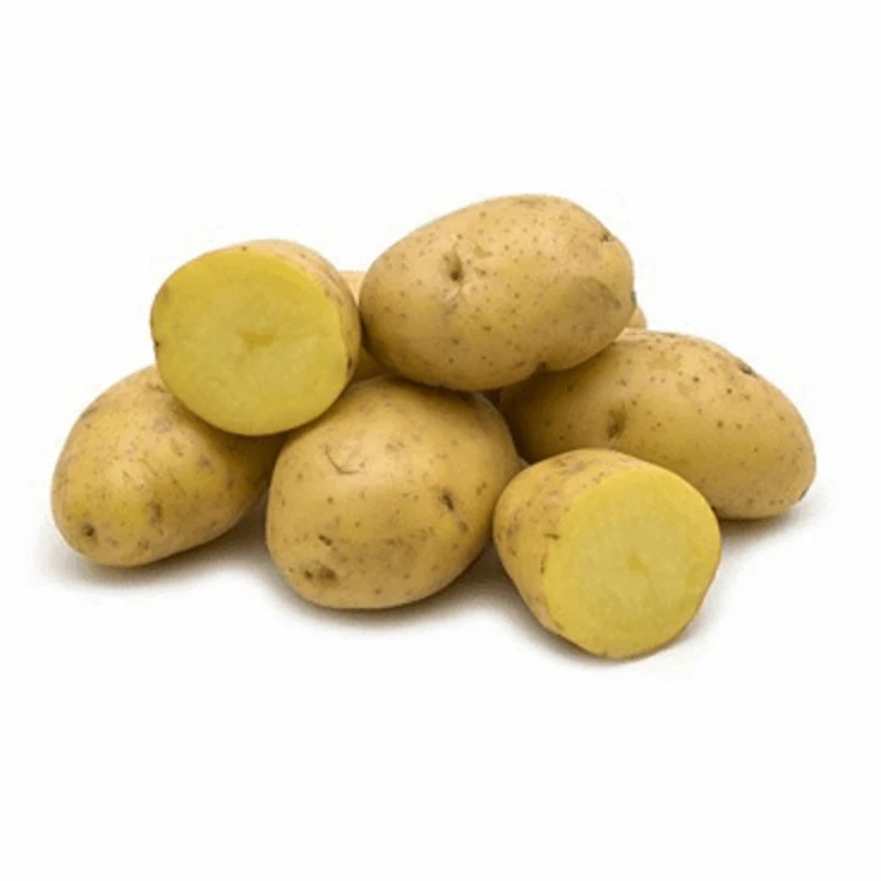 Pflanzkartoffel - Frieslander