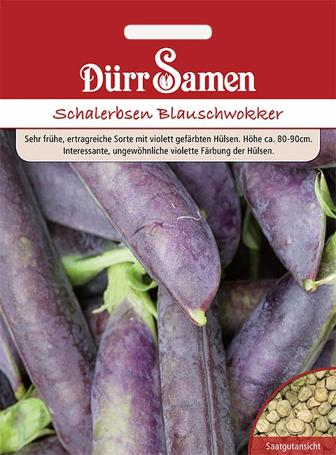Schalerbse Blauschwokker Saatgut