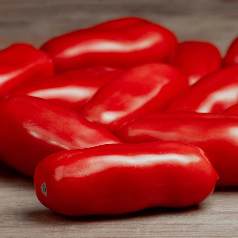 Romatomate - San Marzano