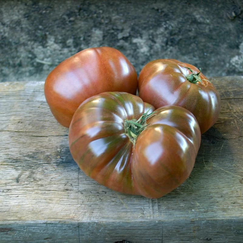 Fleischtomate - Noire de Crimée