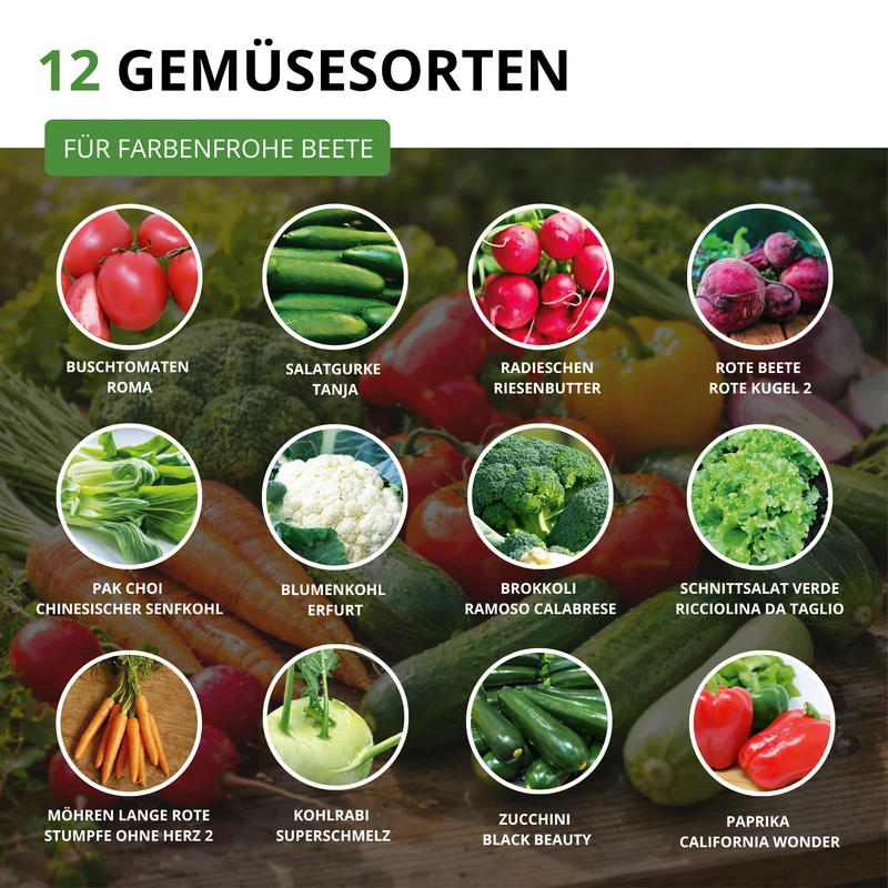 Gemüsesamen Set mit 12 Sorten
