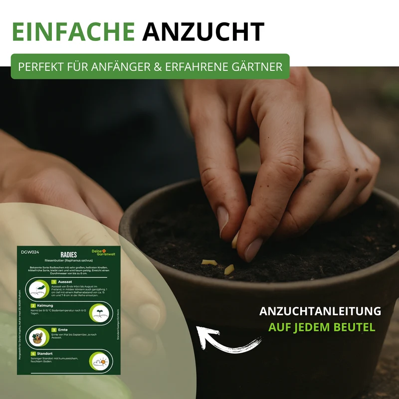 Gemüsesamen Set mit 12 Sorten