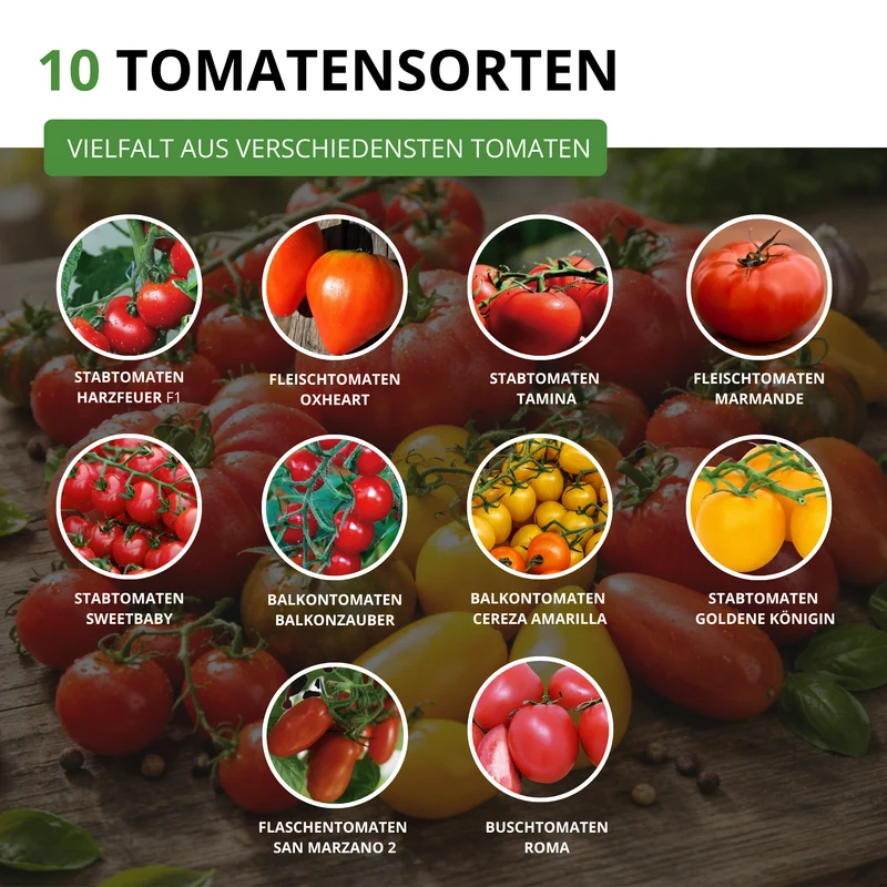 Tomatensamen Set mit 10 Sorten