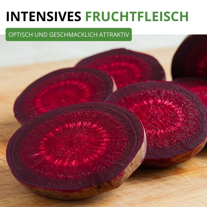 Rote Beete Rote Kugel 2 Saatgut