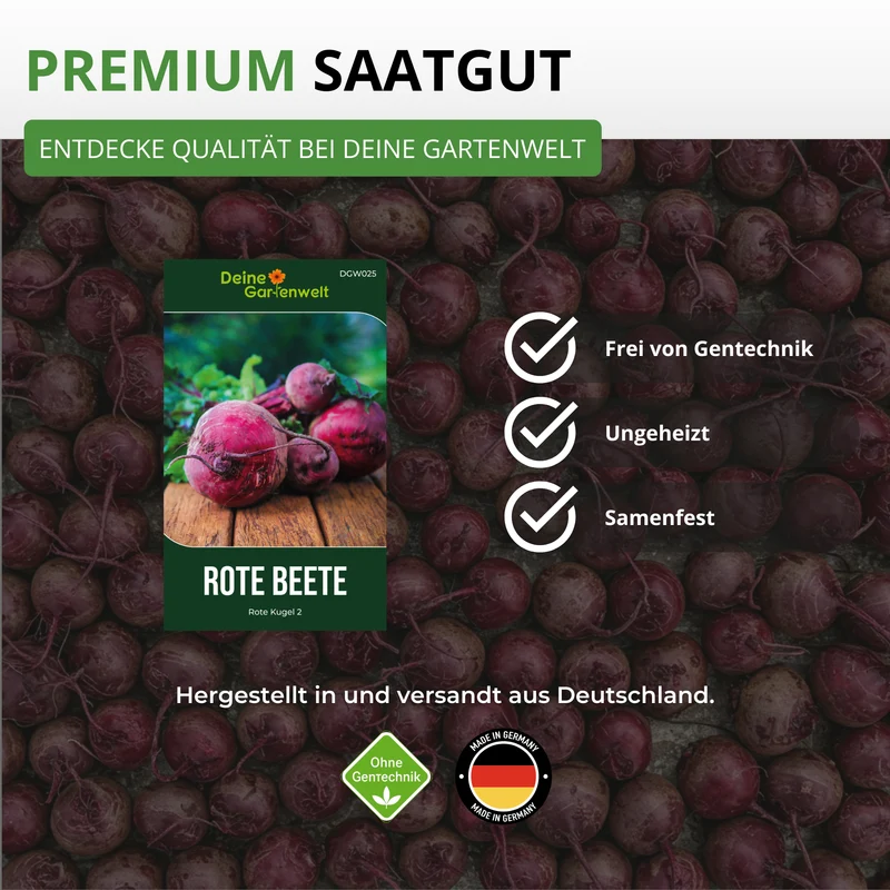 Rote Beete Rote Kugel 2 Saatgut