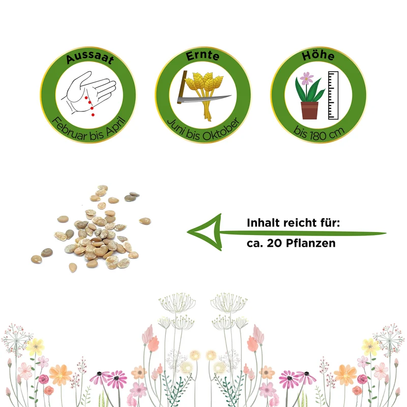 Stabtomate Goldene Königin Saatgut