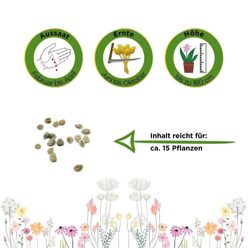 Fleischtomate Oxheart Ochsenherz Saatgut