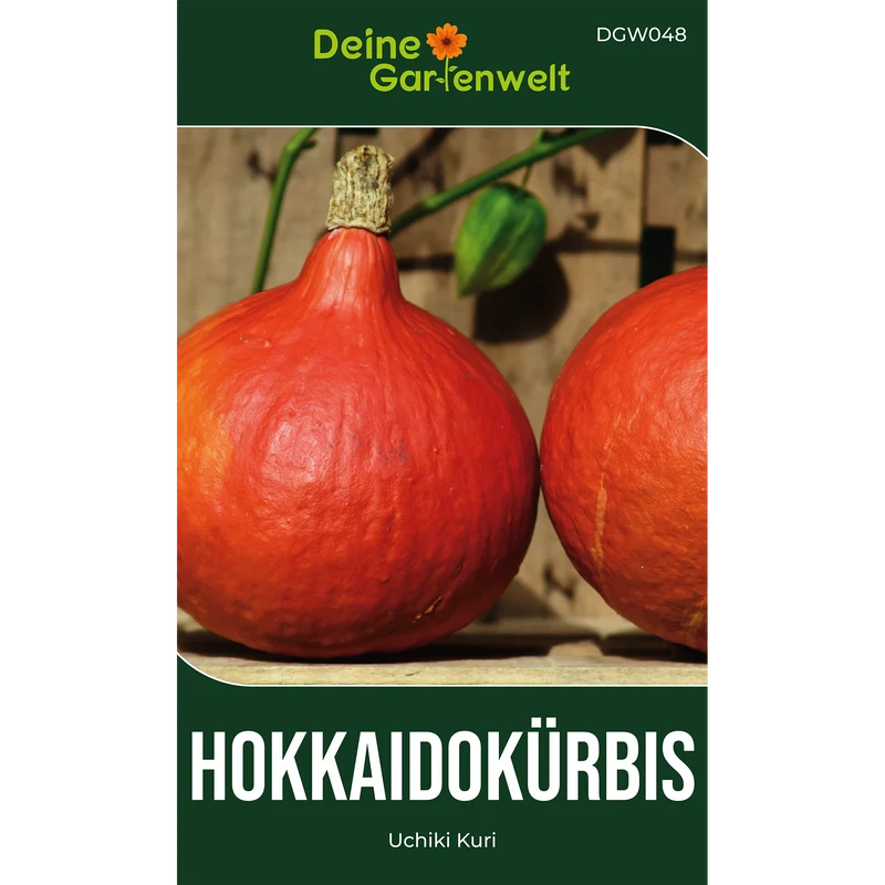 Hokkaido Kürbis Uchiki Kuri Saatgut