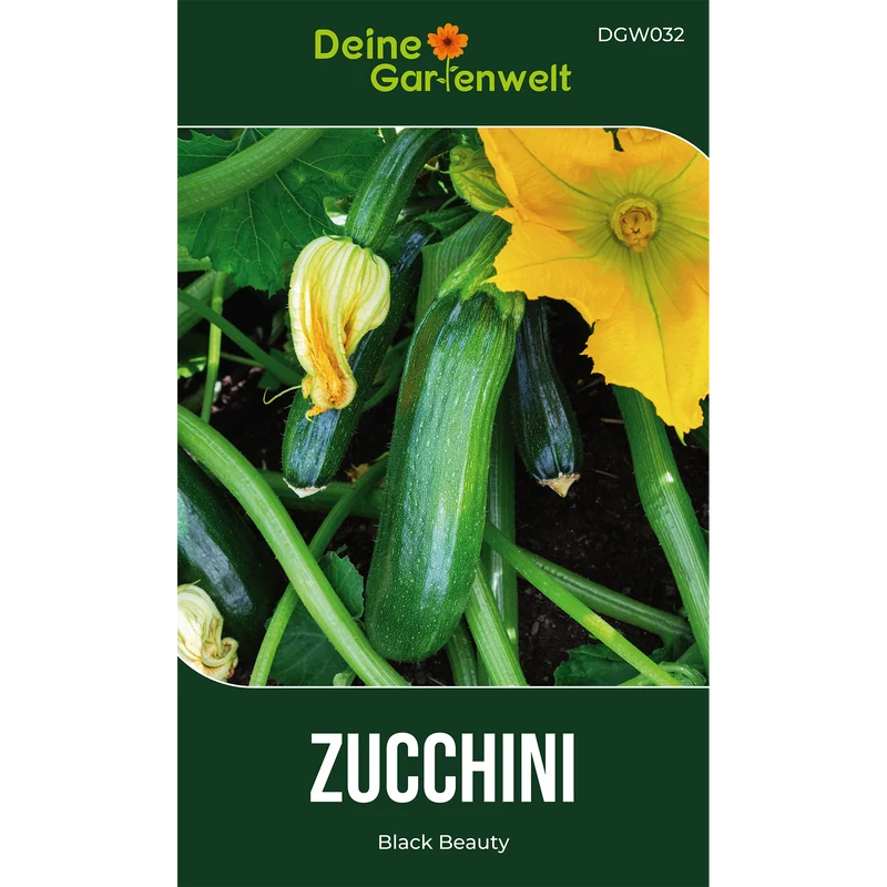 Zucchini Black Beauty Saatgut