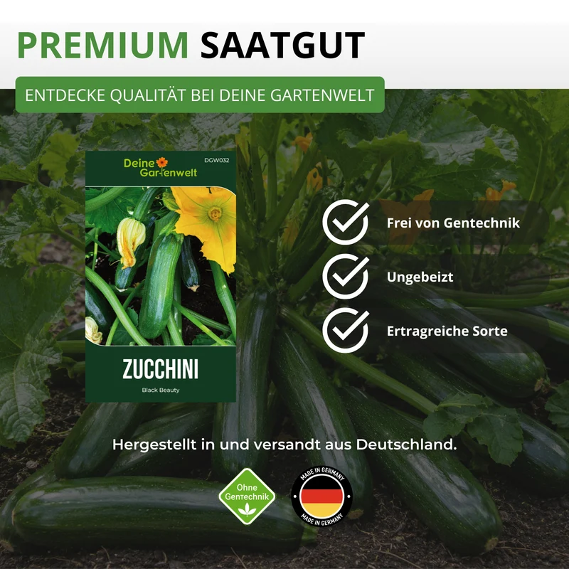 Zucchini Black Beauty Saatgut