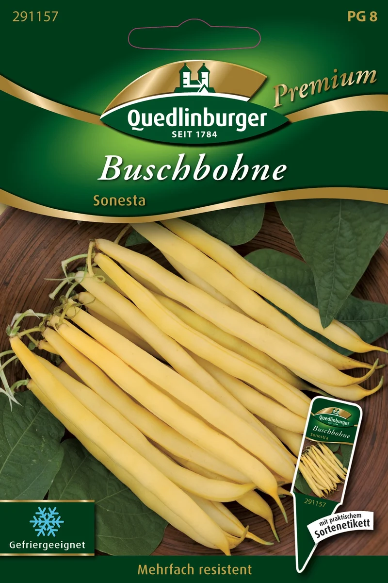 Buschbohne Sonesta Saatgut
