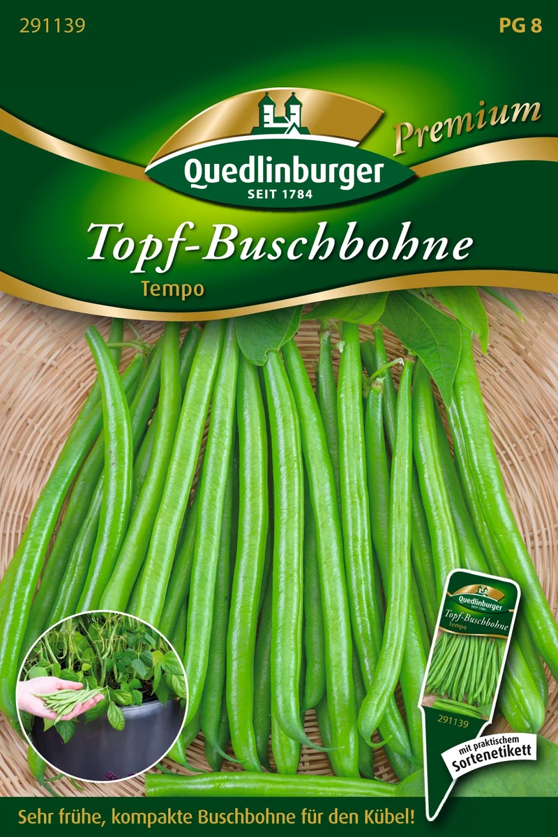 Topf Busch Bohnen Tempo Saatgut