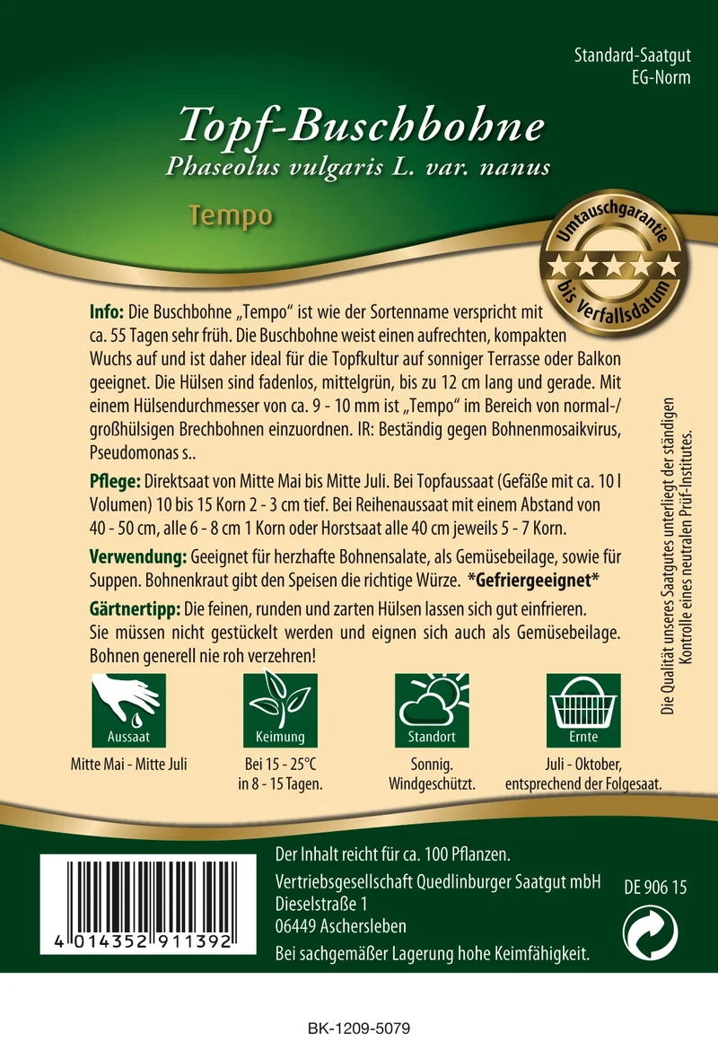 Topf Busch Bohnen Tempo Saatgut