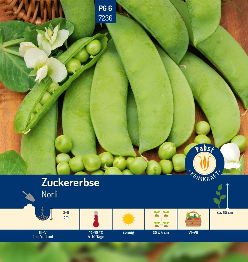 Zuckererbse Norli Saatgut