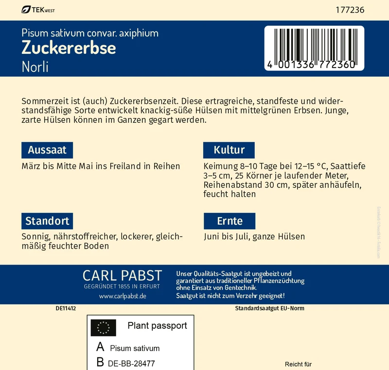 Zuckererbse Norli Saatgut
