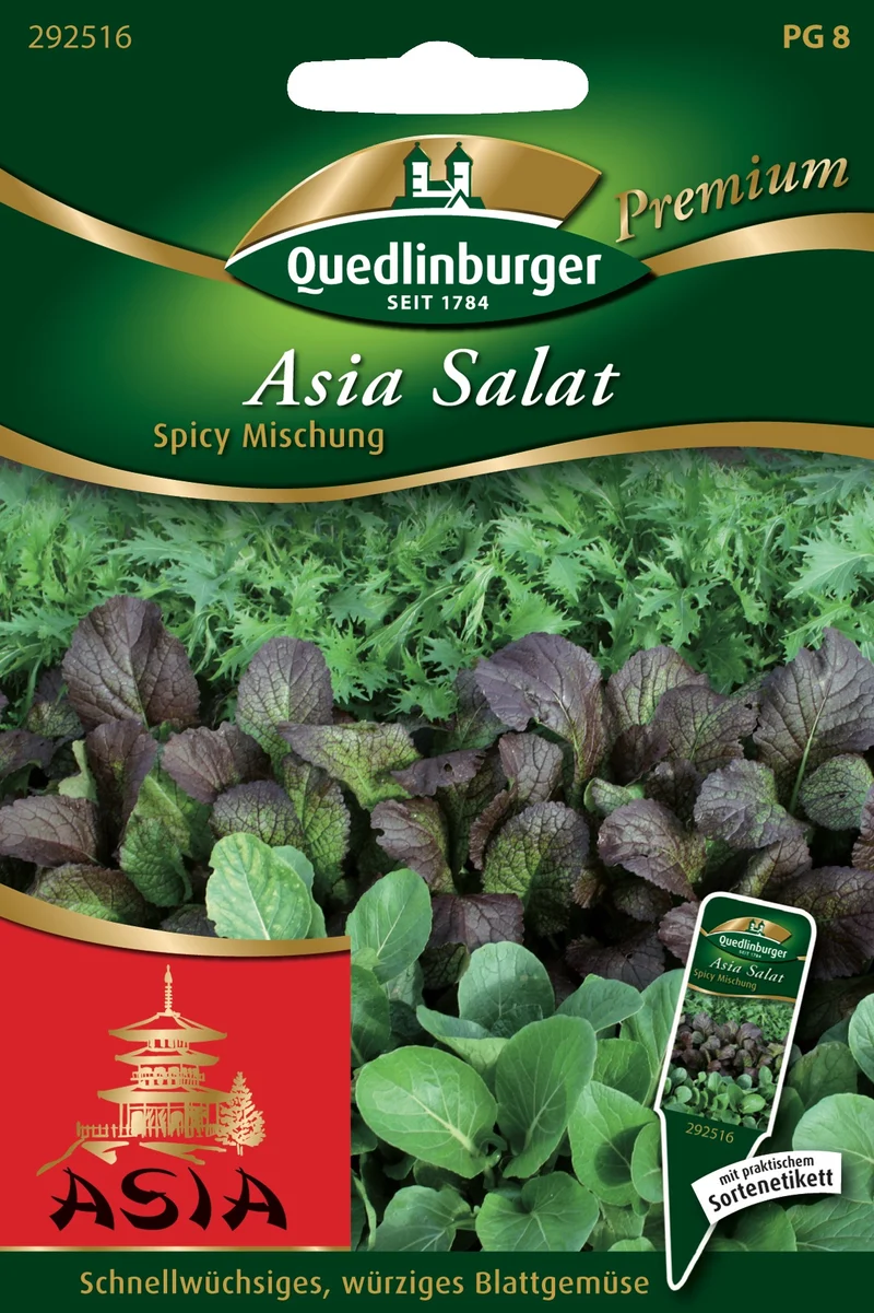 Asia Salat Spicy Mischung Saatgut