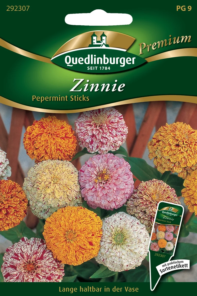 Zinnie Pepermint Sticks Saatgut