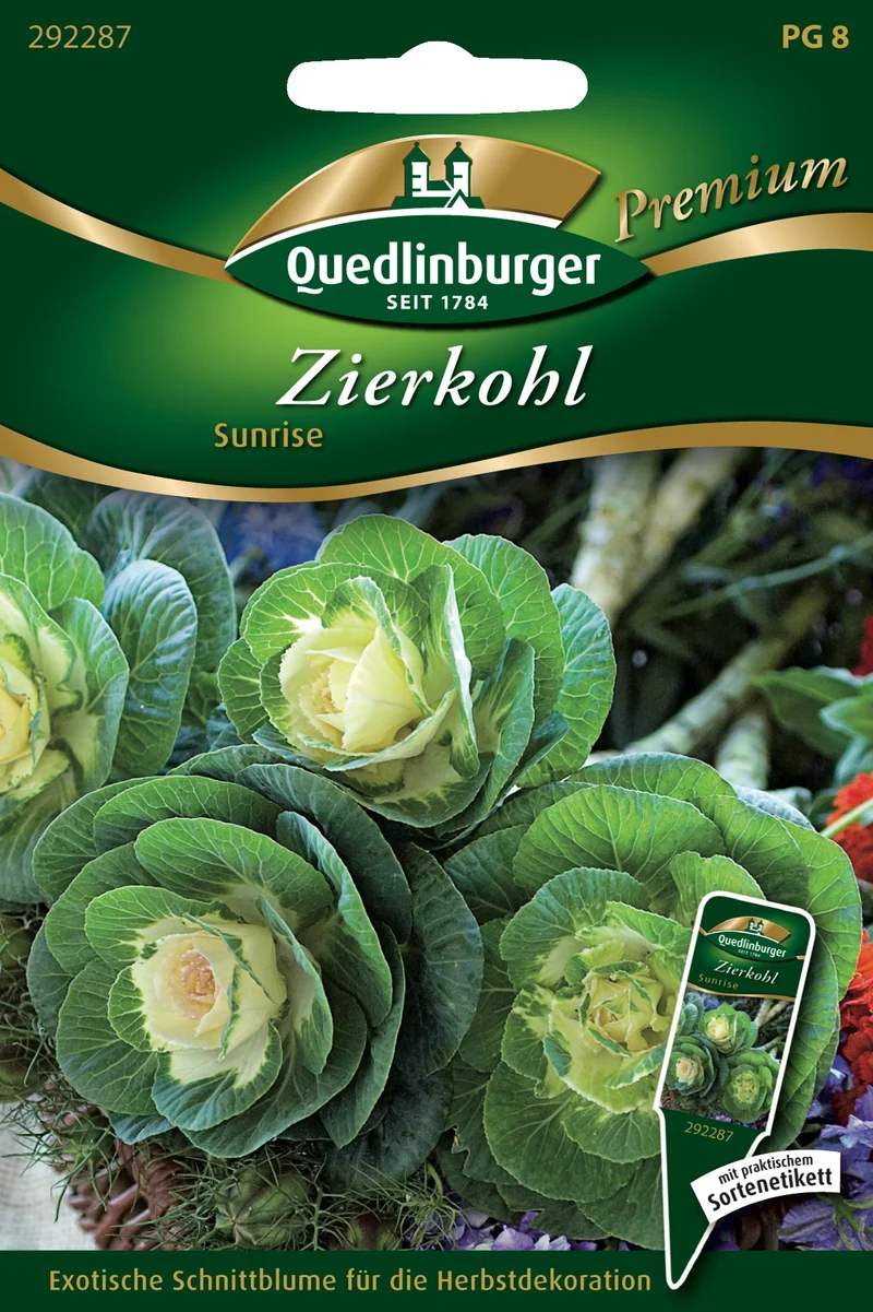 Zierkohl Sunrise Saatgut