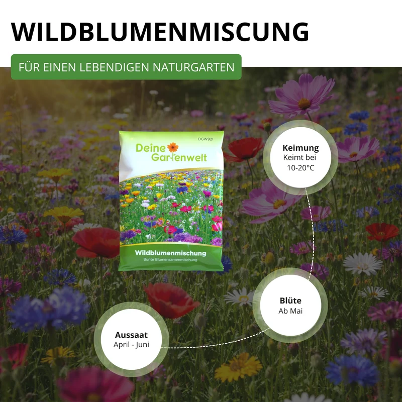 Wildblumenwiese Blumenmischung 100 g Saatgut