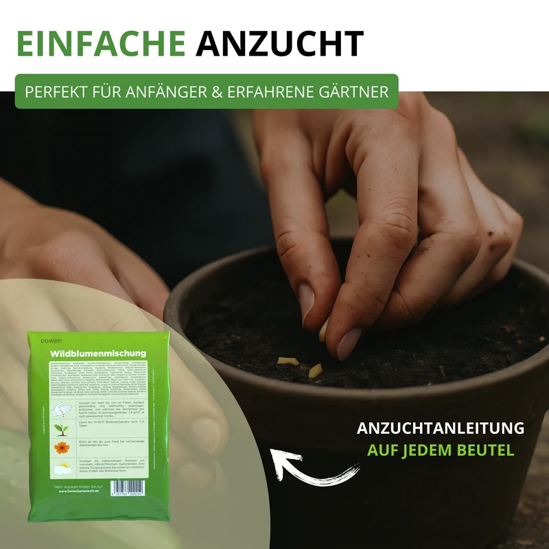 Wildblumenwiese Blumenmischung 100 g Saatgut