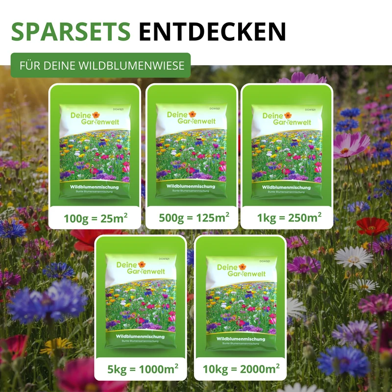 Wildblumenwiese Blumenmischung 100 g Saatgut