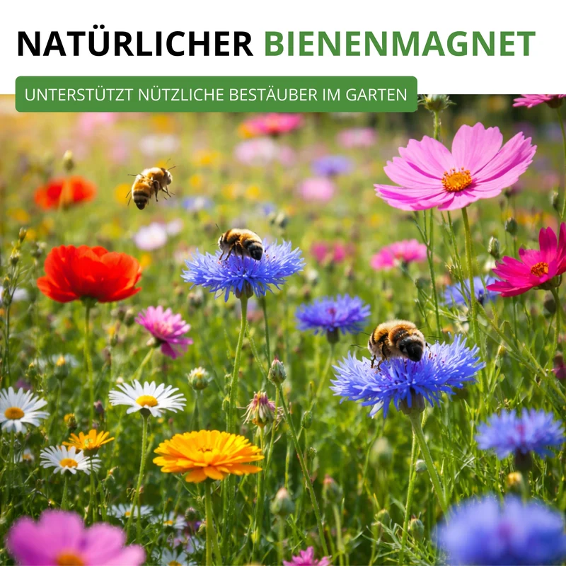 Blütenvielfalt Blumenmischung – 100 g Saatgut