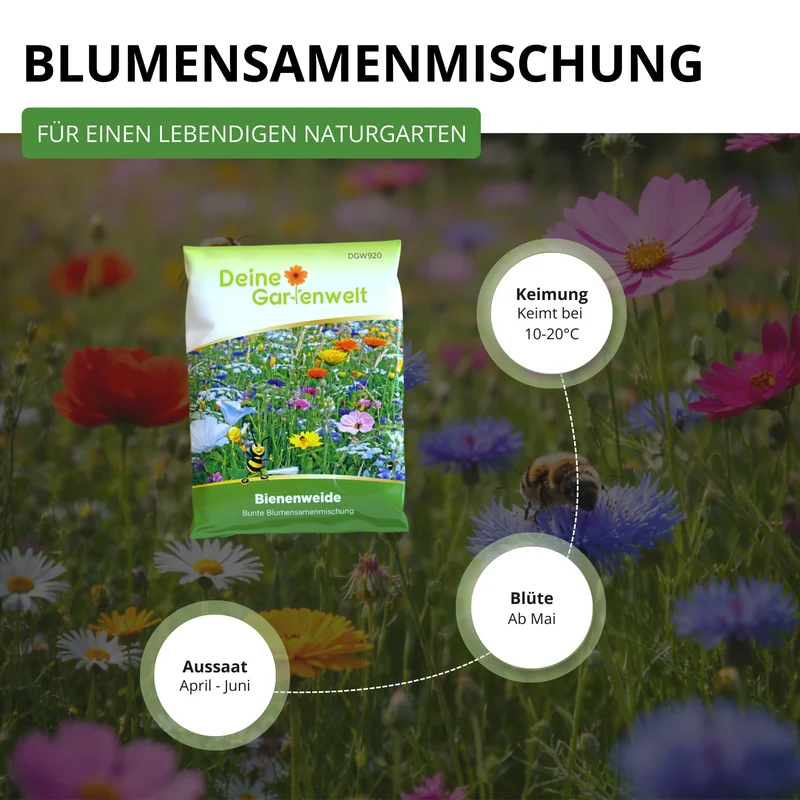 Blütenvielfalt Blumenmischung – 100 g Saatgut