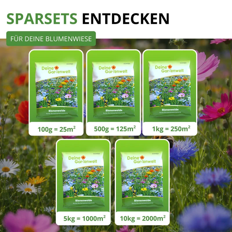 Blütenvielfalt Blumenmischung – 100 g Saatgut