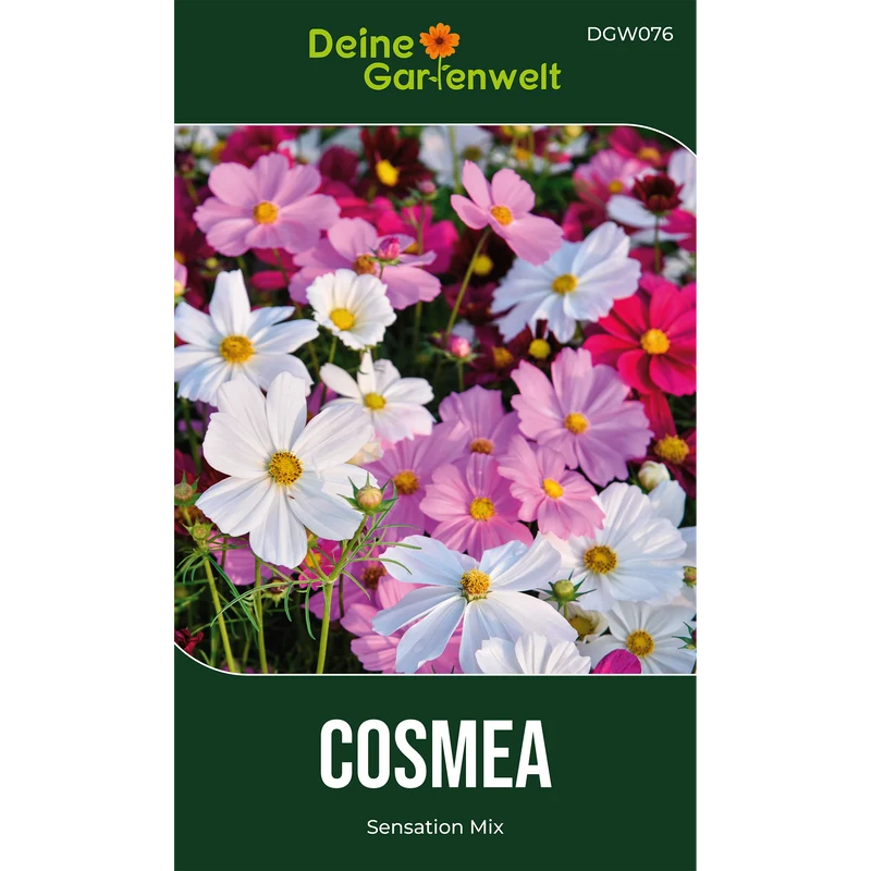 Cosmea Schmuckkörbchen Sensation Mix Saatgut