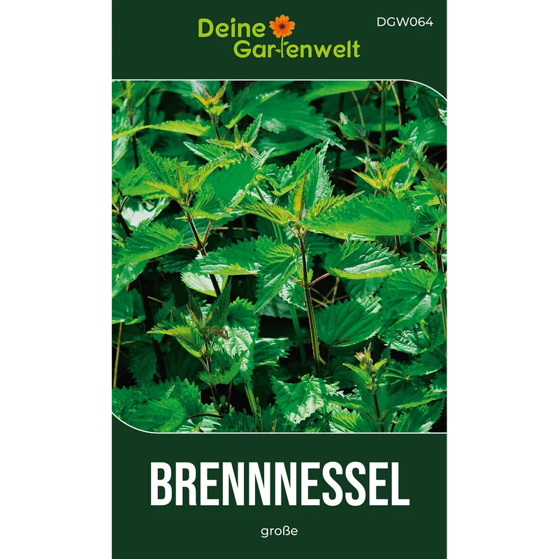 Brennnessel große Saatgut