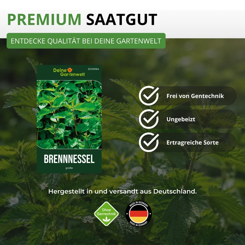 Brennnessel große Saatgut