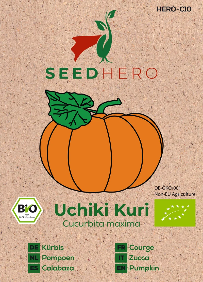 Bio Kürbis Uchiki Kuri Saatgut
