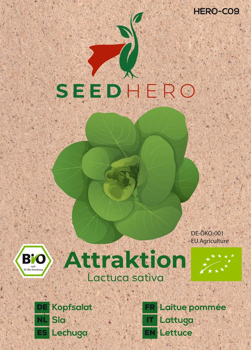 Bio Kopfsalat Attraktion Saatgut