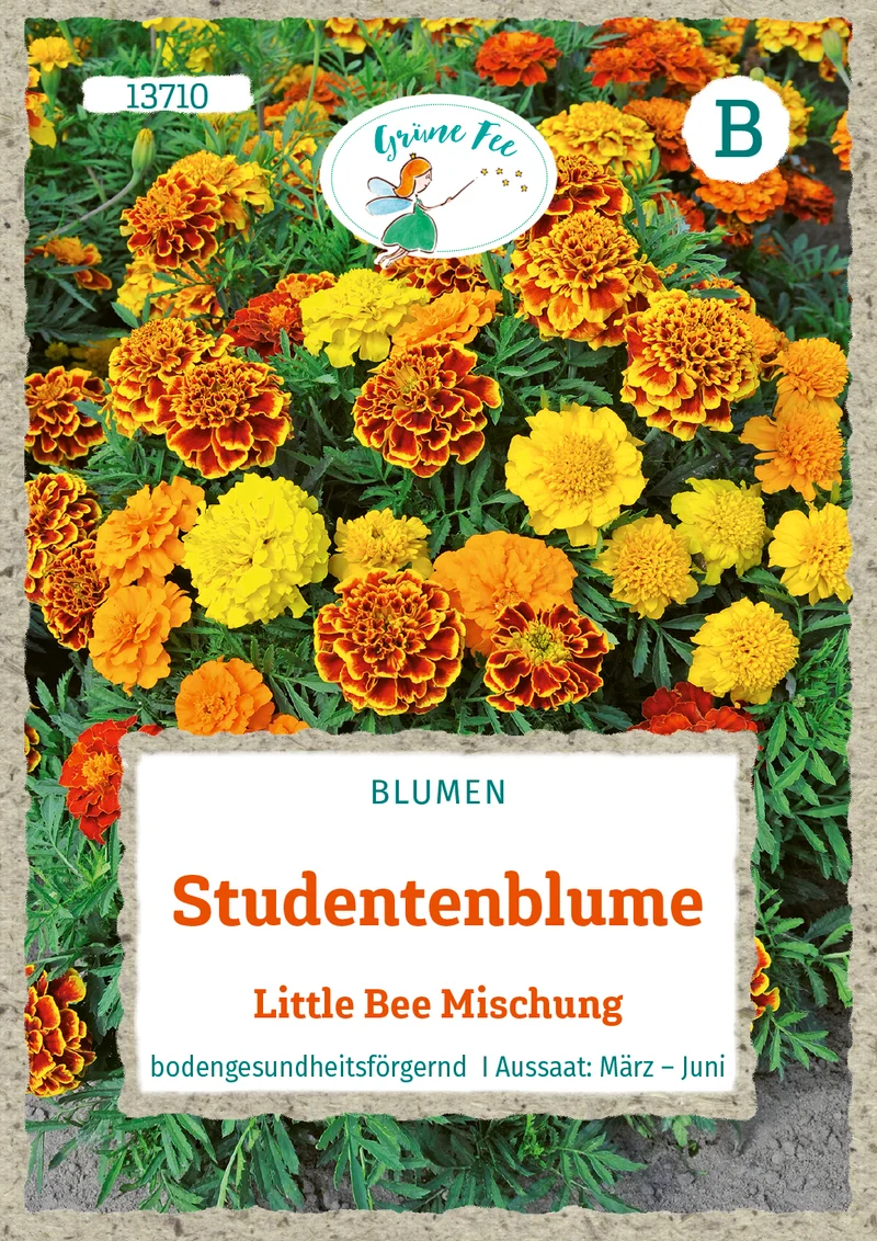 Studentenblume Little Bee Mischung Saatgut