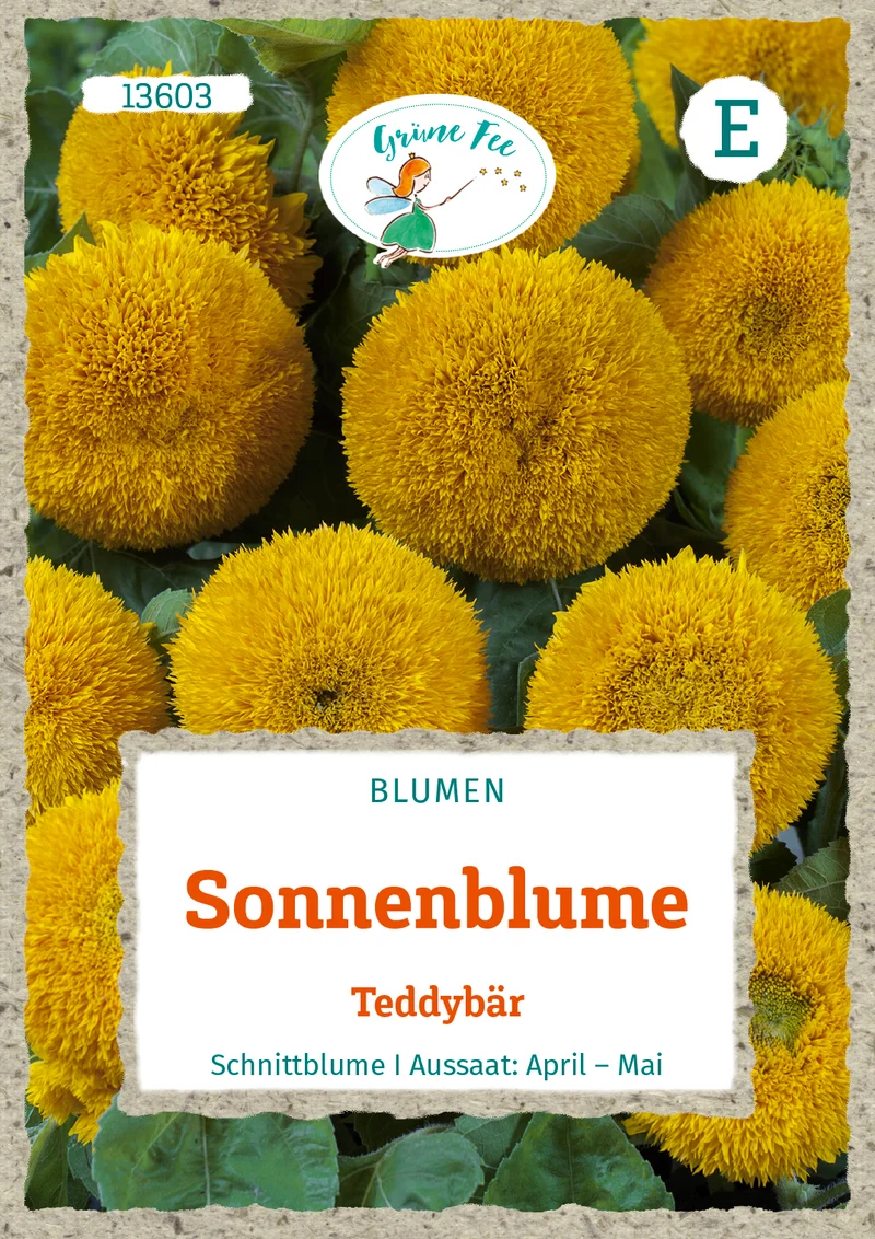 Sonnenblume Teddybär Saatgut