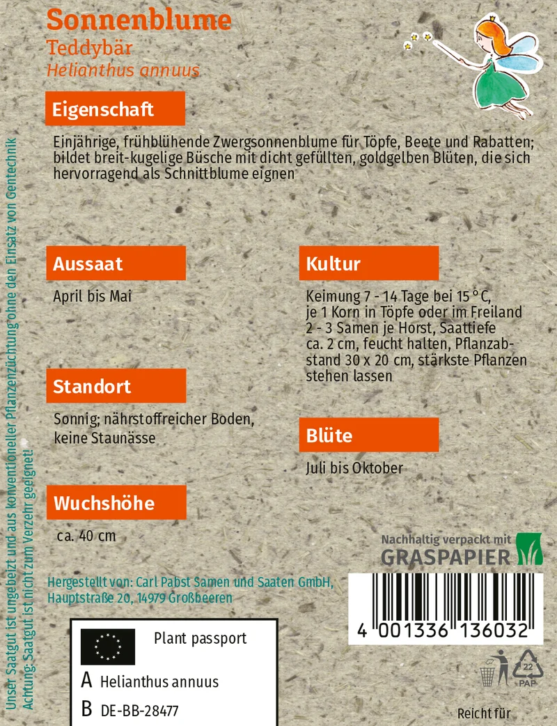 Sonnenblume Teddybär Saatgut