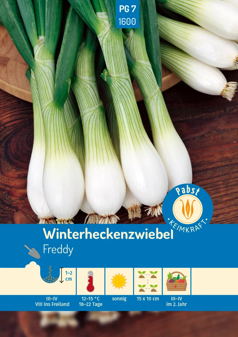 Winterheckenzwiebel Saatgut
