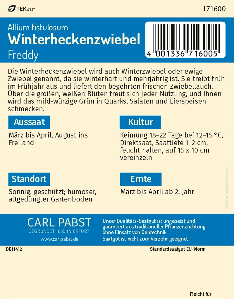 Winterheckenzwiebel Saatgut