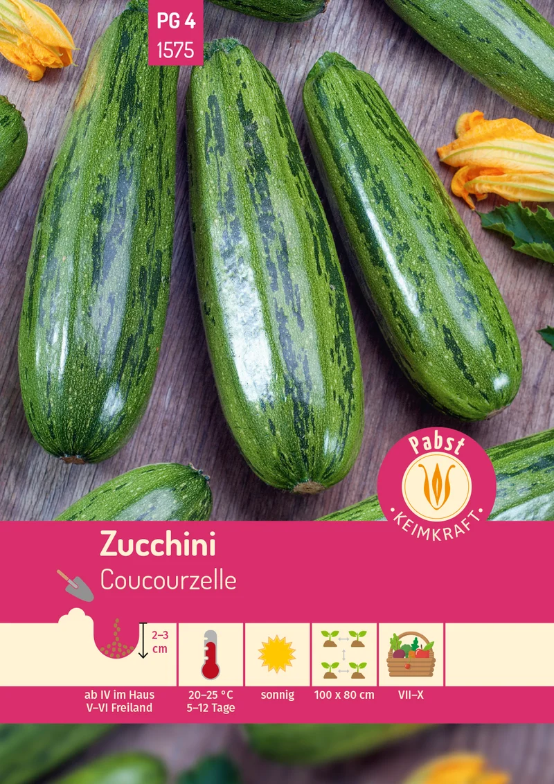 Zucchini Coucourzelle Saatgut