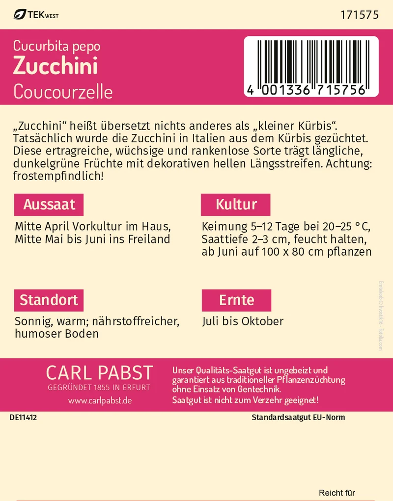 Zucchini Coucourzelle Saatgut
