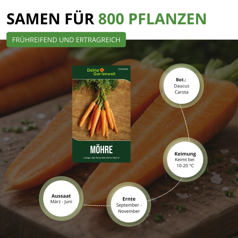Möhre lange rote Stumpfe ohne Herz 2 Saatgut