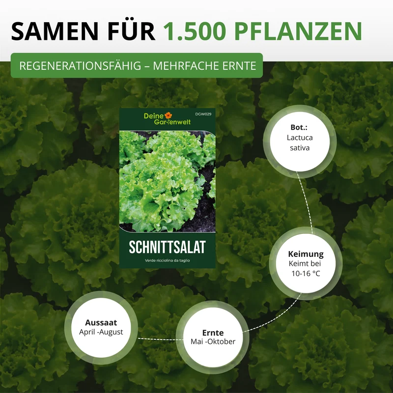Schnittsalat Verde ricciolina da taglio Saatgut