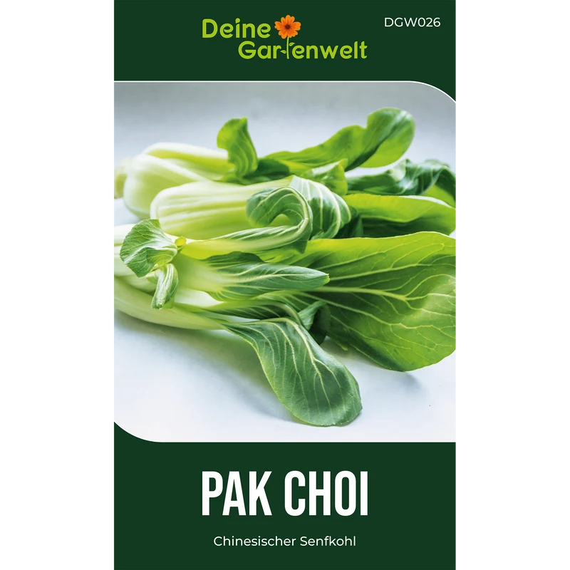 Pak Choi Saatgut