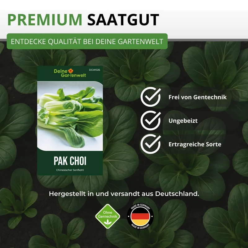 Pak Choi Saatgut