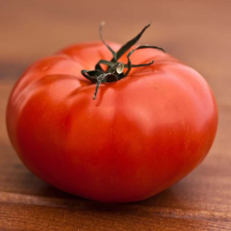 Fleischtomate Marmande Saatgut
