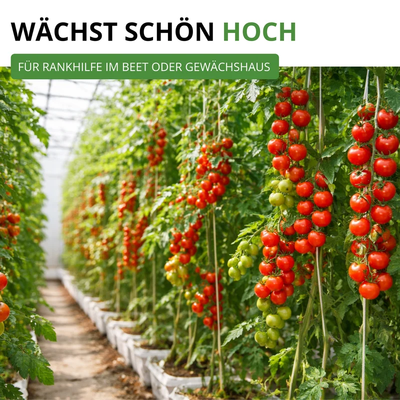 Stabtomate Harzfeuer F1 Saatgut