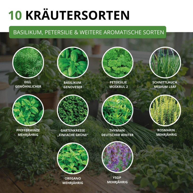 Kräutersamen Set mit 10 Sorten