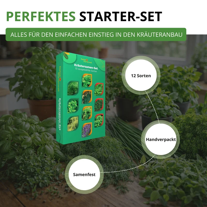 Kräutersamen Set mit 10 Sorten