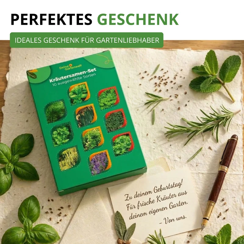 Kräutersamen Set mit 10 Sorten