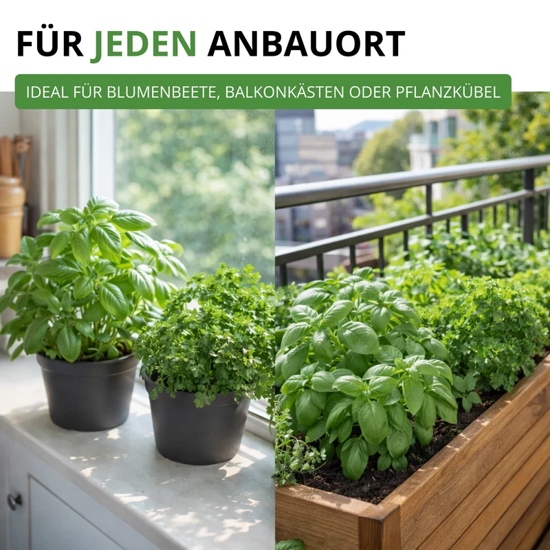 Kräutersamen Set mit 10 Sorten